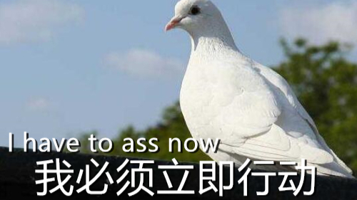 【抽奖结果】4期视频的抽奖实况~